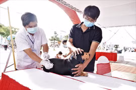 Người dân đưa chó đến một điểm tiêm phòng. (Ảnh: PV/Vietnam+)