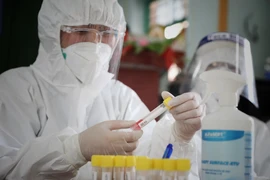 (Ảnh: Danh Lam/TTXVN)