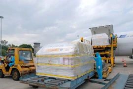 Bộ Y tế đã tiếp nhận lô vaccine phòng COVID-19 Comirnaty của Pfizer/BioNtech đầu tiên về Việt Nam. (Ảnh: PV/Vietnam+)