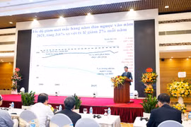 Phó giáo sư Nguyễn Bình Hòa - Phó Giám đốc Bệnh viện Phổi Trung ương, Phó Trưởng ban Điều hành Chương trình chống lao Quốc gia. (Ảnh: PV/Vietnam+)