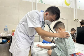 Bác sỹ tại Bệnh viện Đa khoa Xanh Pôn khám, theo dõi sức khỏe cho một trẻ mắc bệnh tay chân miệng. (Ảnh: T.G/Vietnam+)