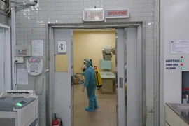 Ảnh minh họa. (Nguồn: TTXVN phát)