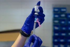 Vaccine ngừa COVID-19. (Ảnh: THX/TTXVN)