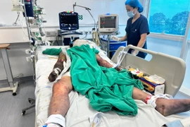 Nhân viên y tế chăm sóc, theo dõi sức khỏe cho bệnh nhân mắc liên cầu lợn. (Ảnh: PV/Vietnam+)