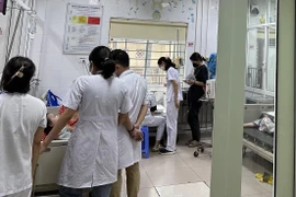 (Ảnh minh họa: P.V/Vietnam+)