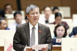 Đại biểu Quốc hội Thành phố Hà Nội Nguyễn Anh Trí phát biểu. (Ảnh: Doãn Tấn/TTXVN)