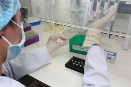 Lấy mẫu xét nghiệm COVID-19. (Ảnh: TTXVN/Vietnam+)