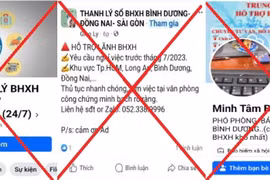 Bảo hiểm Xã hội Việt Nam thông tin cảnh báo các trang giả mạo. (Ảnh: PV/Vietnam+)