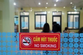 (Ảnh: T.G/Vietnam+)