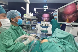 Điều trị nang ống mật chủ bằng nội soi một lỗ là kỹ thuật đặc biệt khó. (Ảnh: PV/Vietnam+)