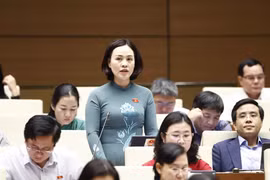 Đại biểu Quốc hội tỉnh Ninh Bình Trần Thị Hồng Thanh phát biểu. (Ảnh: Doãn Tấn/TTXVN)