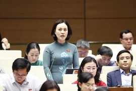 Đại biểu Quốc hội tỉnh Ninh Bình Trần Thị Hồng Thanh phát biểu. (Ảnh: Doãn Tấn/TTXVN)