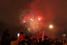 Bắn pháo hoa đón giao thừa năm 2020 tại Đà Nẵng. (Ảnh: Trần Lê Lâm/TTXVN)