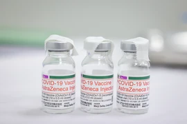 Vaccine AstraZeneca do Nhật Bản viện trợ không hoàn lại cho Việt Nam. (Ảnh: Minh Sơn/Vietnam+)