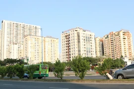 (Ảnh: Trần Xuân Tình/TTXVN)