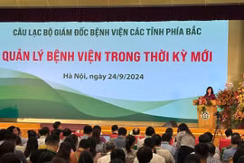 Bộ trưởng Y tế Đào Hồng Lan phát biểu tại Hội nghị. (Ảnh: PV/Vietnam+)