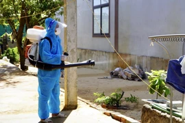 Phun hóa chất diệt muỗi, phòng, chống sốt xuất huyết tại thành phố Đồng Hới. (Ảnh: TTXVN phát)