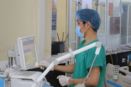 (Ảnh: PV/Vietnam+)