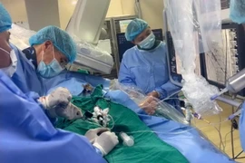 Các bác sỹ của Viện Tim Mạch Việt Nam thực hiện một can thiệp tim mạch cho một bệnh nhân. (Ảnh: PV/Vietnam+)