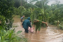 Lực lượng chức năng cùng nhân dân hỗ trợ di dời gia súc trong vùng bị ngập lụt. (Ảnh: TTXVN phát)