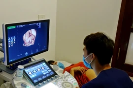 Theo dõi sức khỏe cho một sản phụ. (Ảnh: PV/Vietnam+)