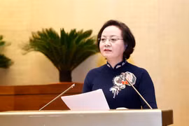 Bộ trưởng Bộ Nội vụ Phạm Thị Thanh Trà trình bày Tờ trình dự án Luật Thực hiện dân chủ ở cơ sở. (Ảnh: Doãn Tấn/TTXVN)