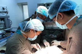 Các bác sỹ thực hiện ca phẫu thuật cho bệnh nhân. (Ảnh: PV/Vietnam+)