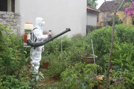 Cán bộ y tế phun thuốc chống dịch sốt xuất huyết. (Ảnh: TTXVN/Vietnam+)