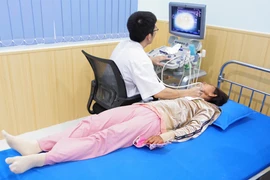 Bác sỹ khám bệnh cho người dân. (Ảnh: PV/Vietnam+)