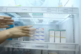 Bảo quản vaccine trong công tác tiêm chủng. (Ảnh: Minh Quyết/TTXVN)