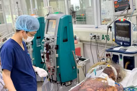 Bác sĩ theo dõi sức khỏe cho bệnh nhân. (Ảnh: PV/Vietnam+)