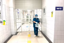 (Ảnh: PV/Vietnam+)