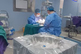Các y bác sỹ thực hiện thành công ca điều phối ghép đa tạng từ một người hiến ở Vũng Tàu. (Ảnh: PV/Vietnam+)