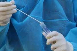 (Ảnh minh họa: TTXVN/Vietnam+)