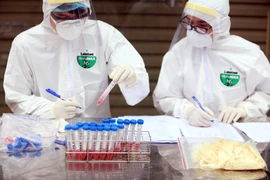 Nhân viên y tế làm công tác lấy mẫu xét nghiệm. (Ảnh: TTXVN/Vietnam+)