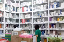 Nhân viên y tế làm công tác cấp phát thuốc tại một bệnh viện. (Ảnh: T.G/Vietnam+)