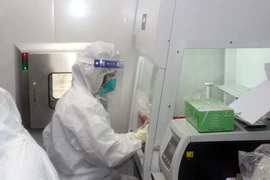 (Ảnh: TTXVN/Vietnam+)