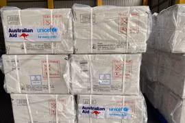 Việt Nam nhận được 490.600 liều vaccine 5 trong 1 từ hỗ trợ của Chính phủ Australia. (Ảnh: PV/Vietnam+)