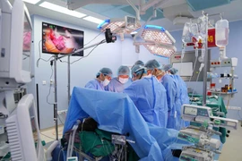 Các bác sĩ thực hiện lấy tạng từ người hiến tặng. (Ảnh: PV/Vietnam+)