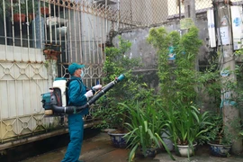 Phun hóa chất diệt muỗi tại phường Lương Khánh Thiện, thành phố Phủ Lý. (Ảnh: Nguyễn Chinh/TTXVN)
