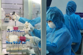 Nhân viên y tế làm công tác xét nghiệm. (Ảnh: PV/Vietnam+)