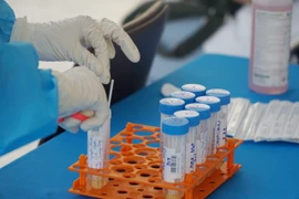 (Ảnh: Thu Hương/TTXVN)