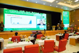 Toàn cảnh phiên Hội thảo quốc tế về COVID-19. (Ảnh: PV/Vietnam+)