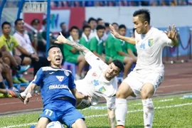 Đội bóng chuyên tấn công Hà Nội T&T đã buộc phải phòng ngự ở Cẩm Phả. Họ đã chứng minh rằng mình phòng ngự hay không kém gì tấn công. (Ảnh: Minh Chiến/Vietnam+)