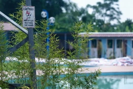 Bể bơi trái phép dưới đường điện cao thế ở Quốc Oai. (Ảnh: Minh Chiến/Vietnam+)