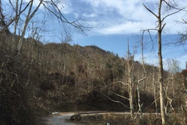 (Ảnh minh họa. Hữu Quyết/TTXVN)