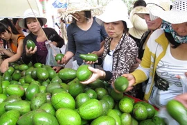 (Ảnh minh họa. Phương Vy/TTXVN)