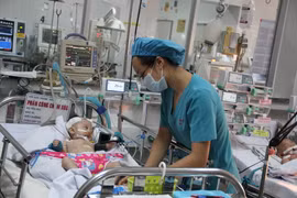 (Ảnh minh họa. Chí Tưởng/TTXVN)