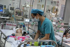 (Ảnh minh họa. Chí Tưởng/TTXVN)