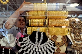 Ảnh minh họa. (Nguồn: EPA/TTXVN)